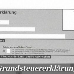 Grundsteuererklärung online